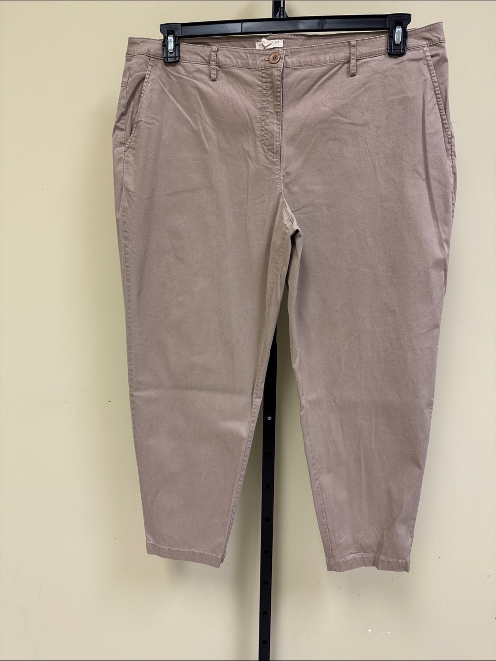 Eileen Fisher Women's Trousers - Taupe
